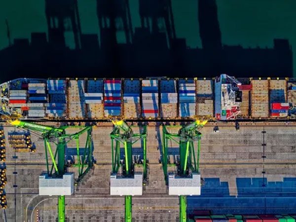 Green Route Customs – Green Route Customs