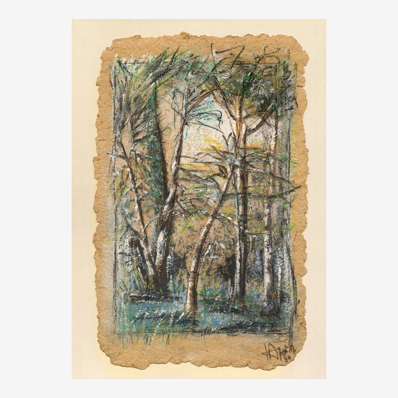 Through the Woods_image